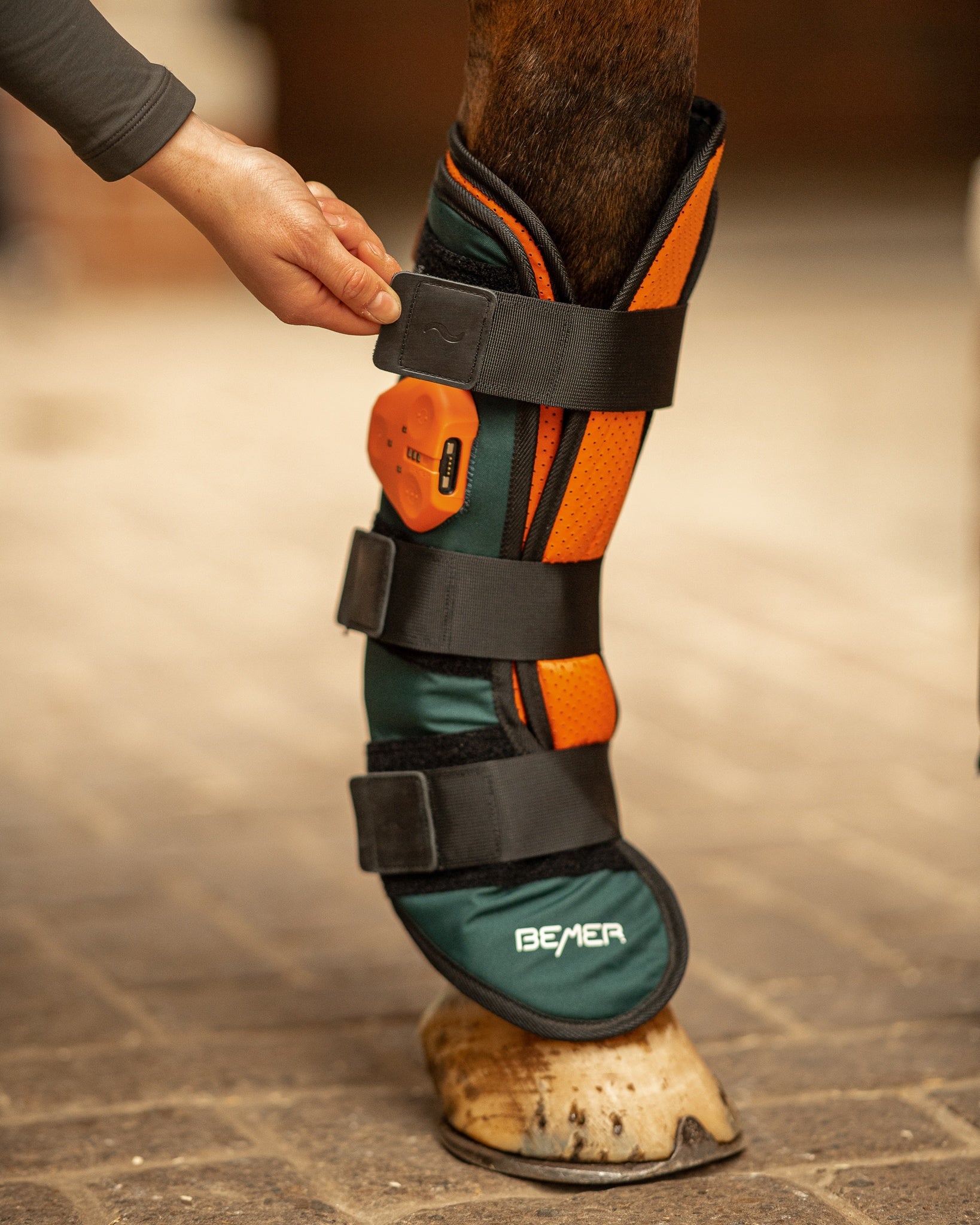 BEMER Horse Set Therapie-Gamaschen am Bein mit drei Klettverschlüssen sicher und einfach befestigt