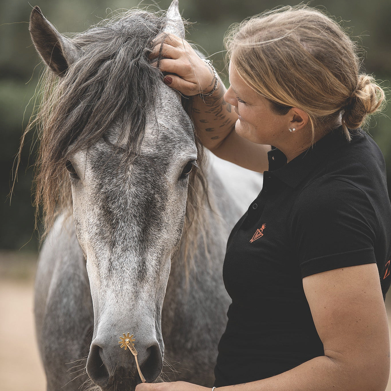 Faszienrad für Pferde während der einfachen Anwendung & Handhabung – ideal für Selbstanwendung durch Halter