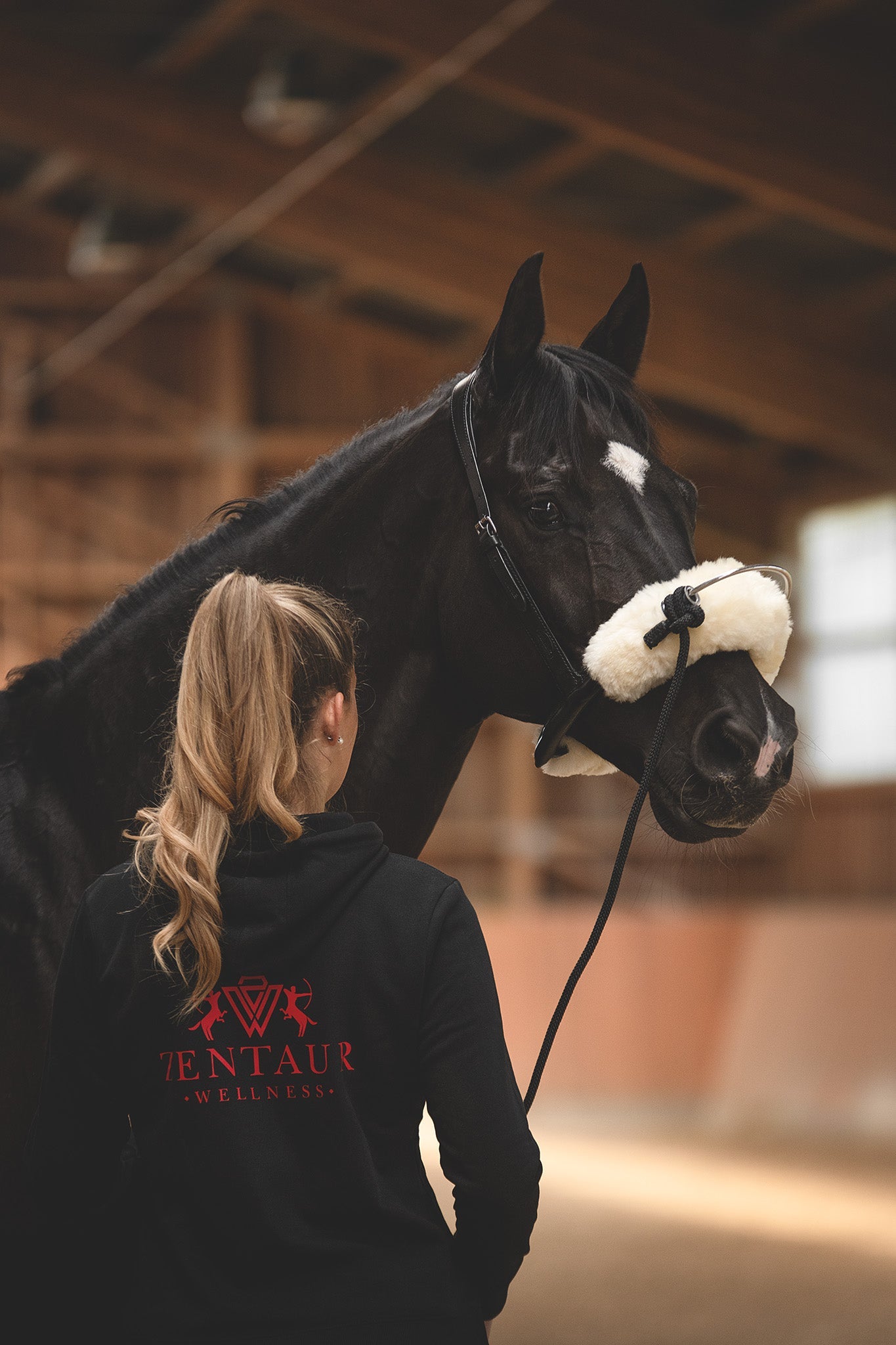 Horse Bodyforming Mobility Bridle  in Anwendung in der Reithalle schwarzes Pferd
