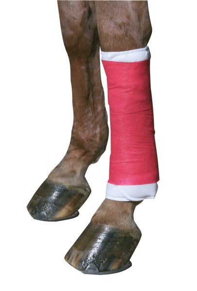 EquiLastic Bandage Maxi von Kerbl als stabiler Verband am Pferdebein – selbsthaftende, elastische Bandage für Huf- & Klauenpflege.