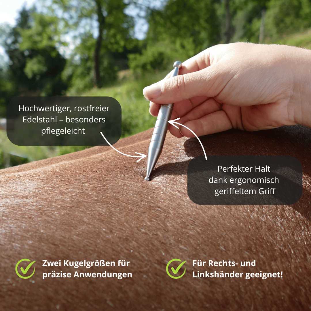Akupressurstift am Pferderücken in Detailaufnahme: Pflegeleichter, rostfreier Edelstahl und ergonomischer Griff