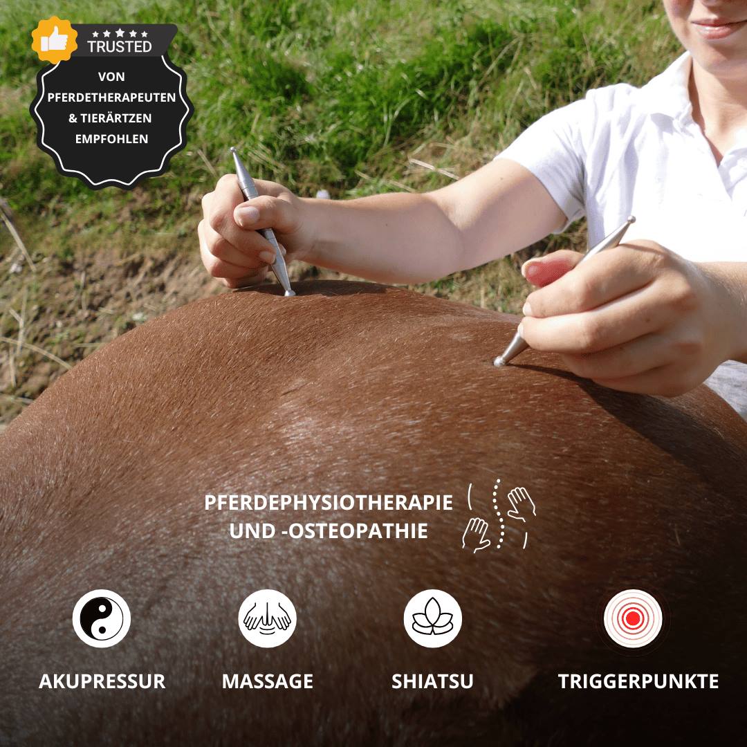 EquiStäbchen Anwendung am Pferderücken - dazu Icons: Akupressur, Massage, Shiatsu, Triggerpunkte und Emblem: Von Pferdetherapeuten & Tierärzten empfohlen