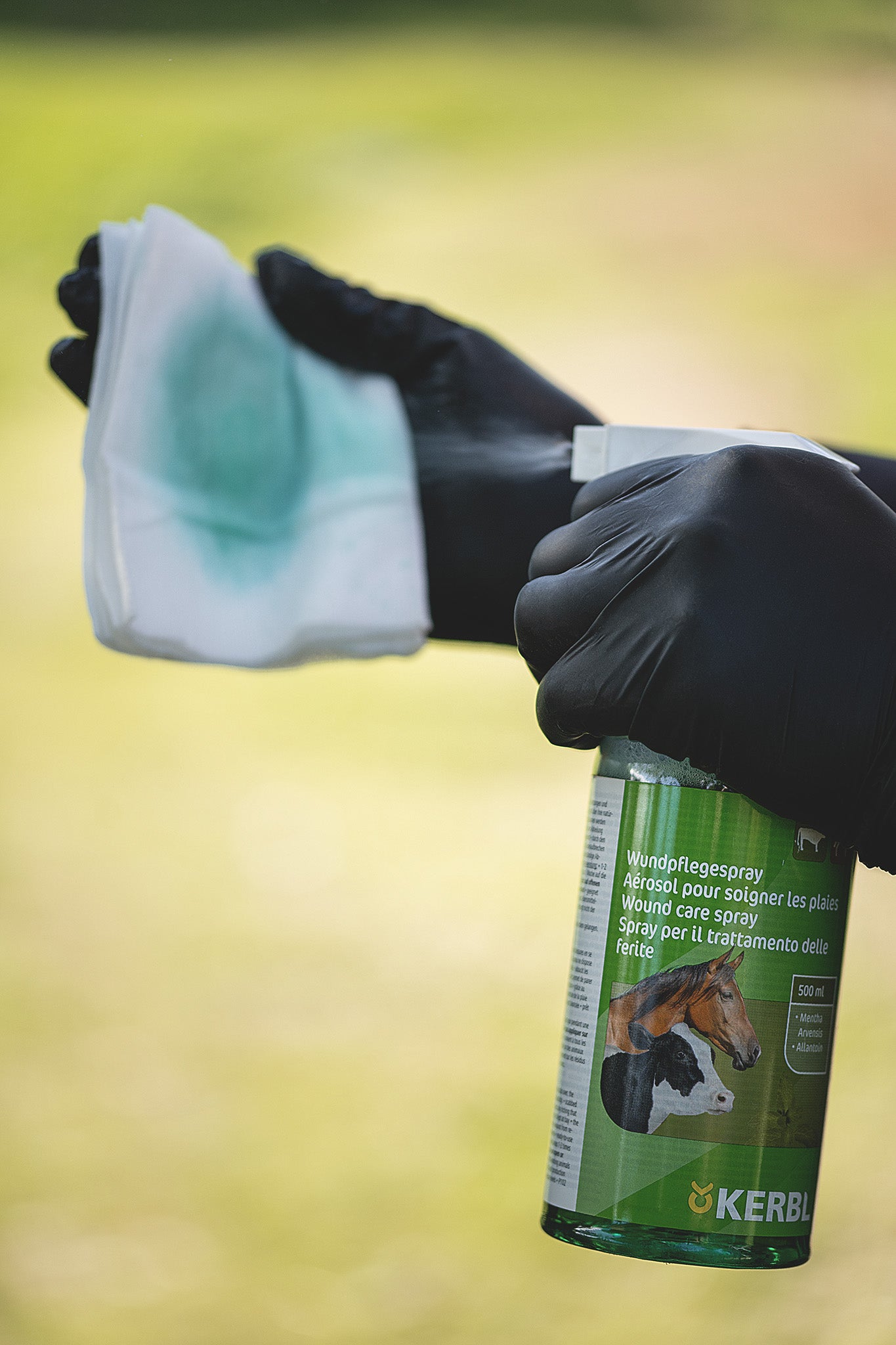 Hände sprühen Kerbl Wundpflegespray 500 ml auf Verbandsvlies zur Wundpflege beim Pferd
