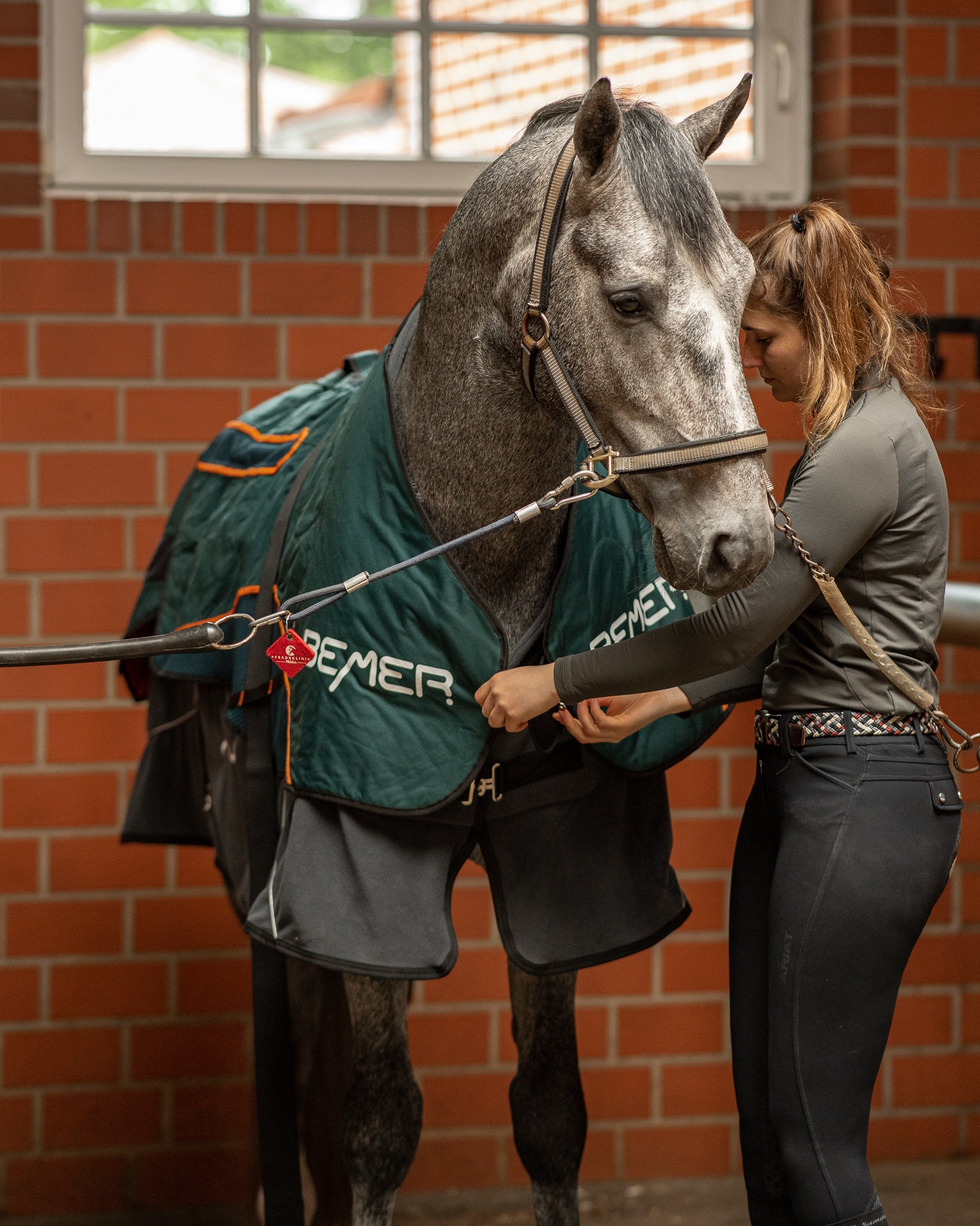 BEMER Horse-Set – Pferdedecke und Gamaschen- bringt Bewegung in dein Pferd