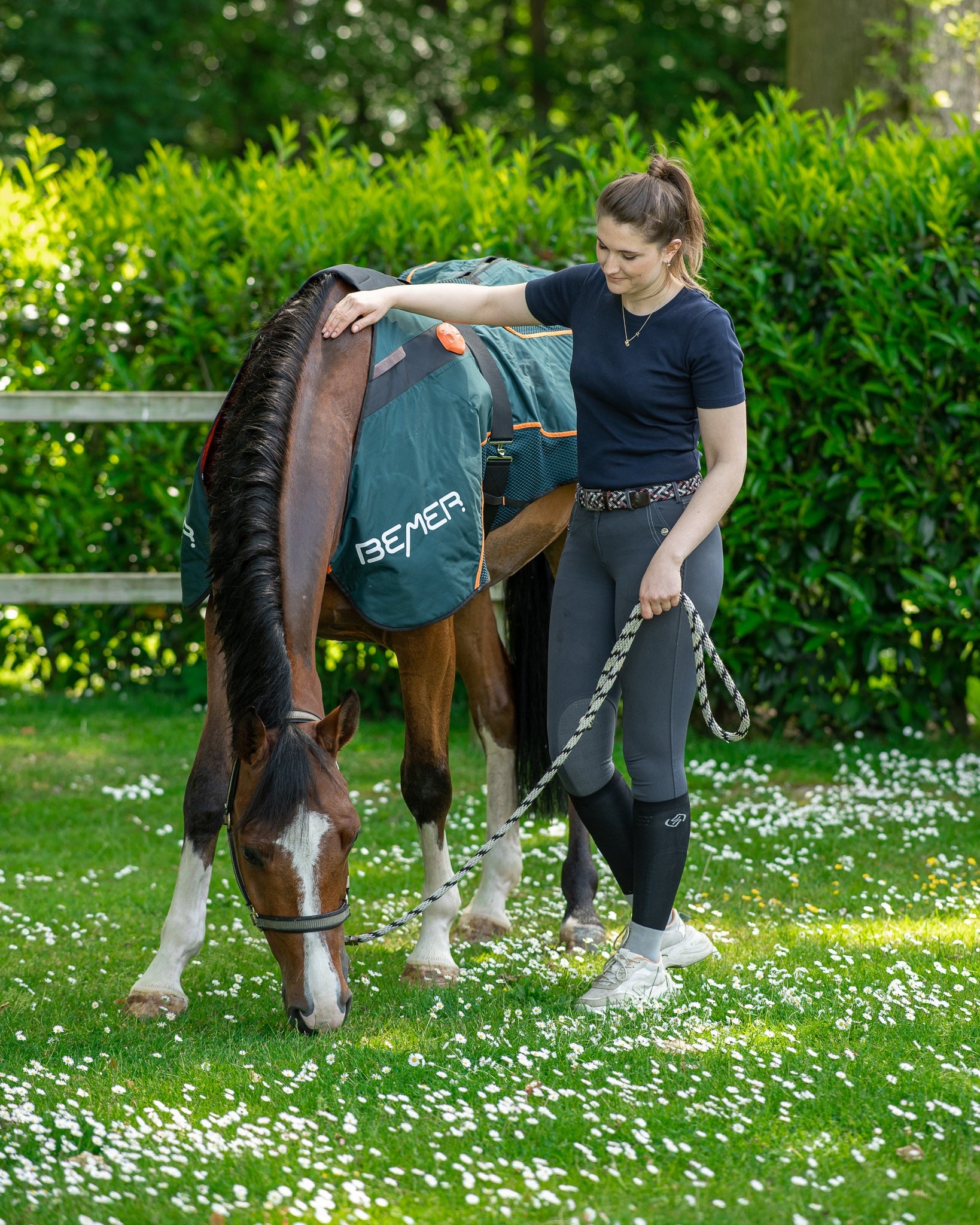 BEMER Horse-Set – Pferdedecke und Gamaschen- bringt Bewegung in dein Pferd