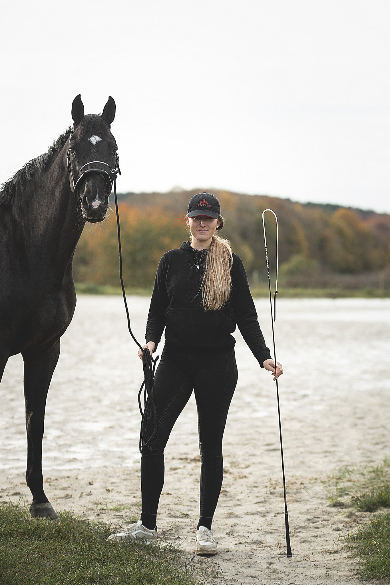 Ruhige Ausgangssituation in der Bodenarbeit mit Gerte und Mobility Bridle zur klaren Kommunikation