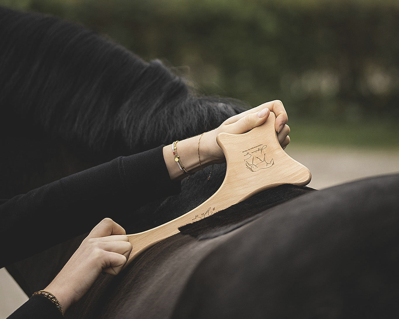 Faszientool für Pferde „DasSpix“ bei der Faszienmassage am Pferderücken in Anwendung