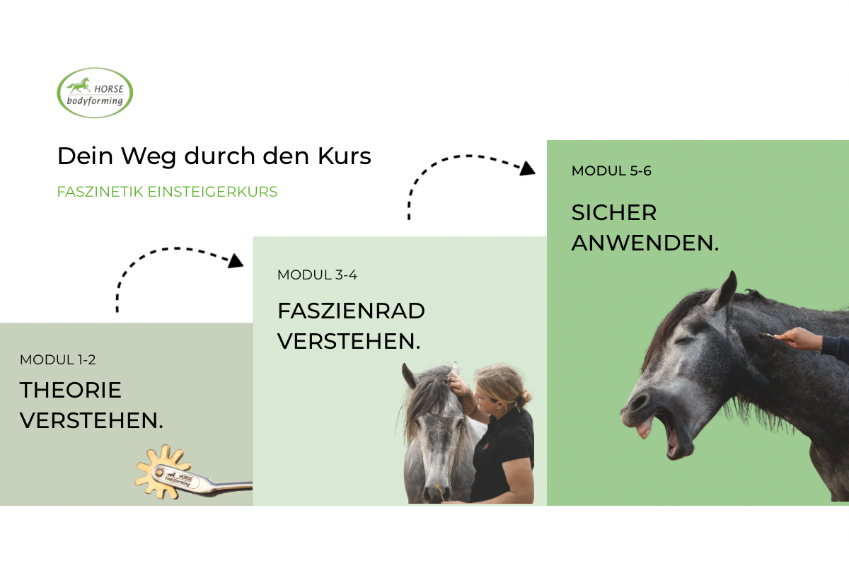 Erweiterte Techniken - Die Sonnen