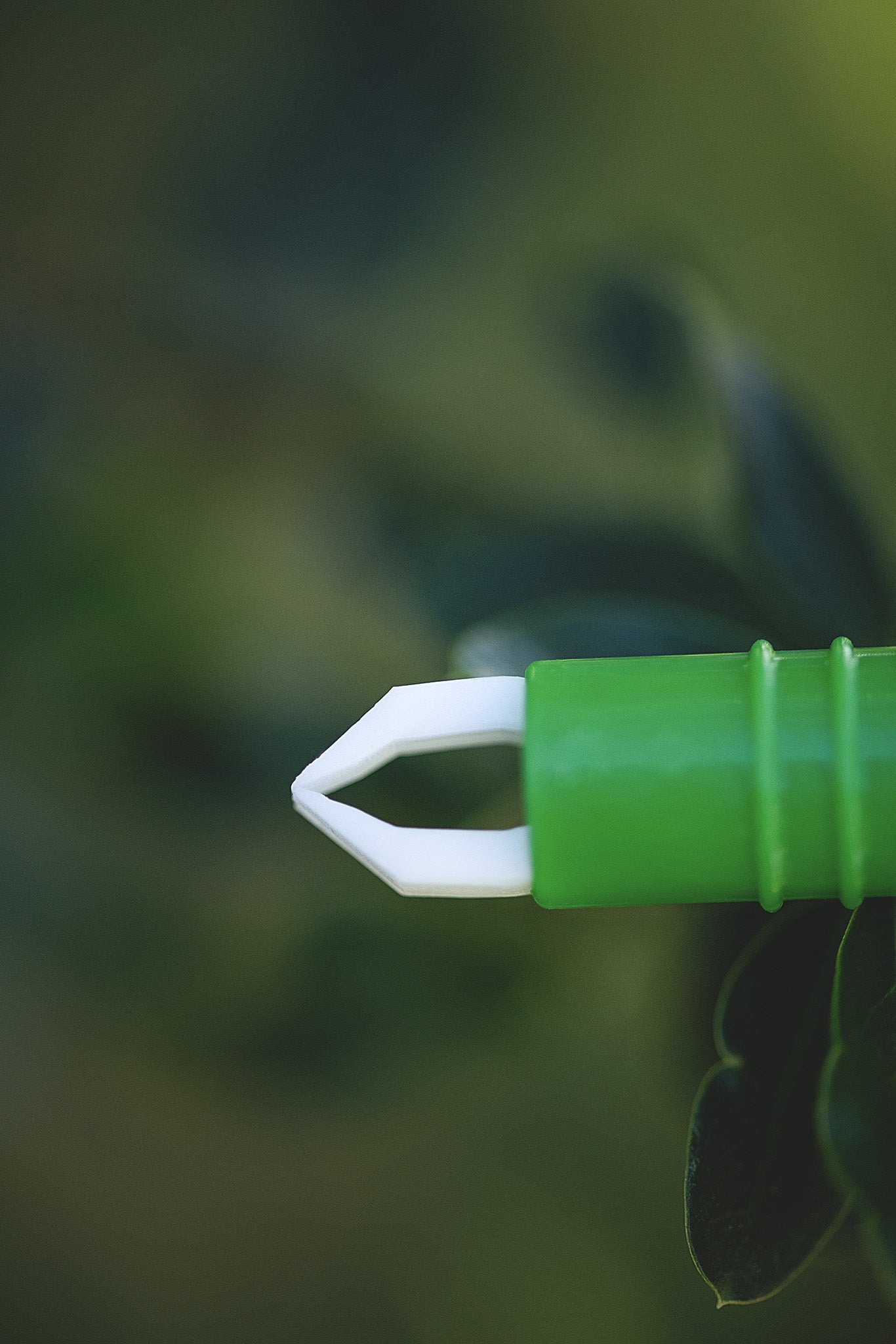 Detailaufnahme der präzisen Spitze der Kerbl Zeckenzange zum sicheren Entfernen von Zecken bei Hund und Pferd