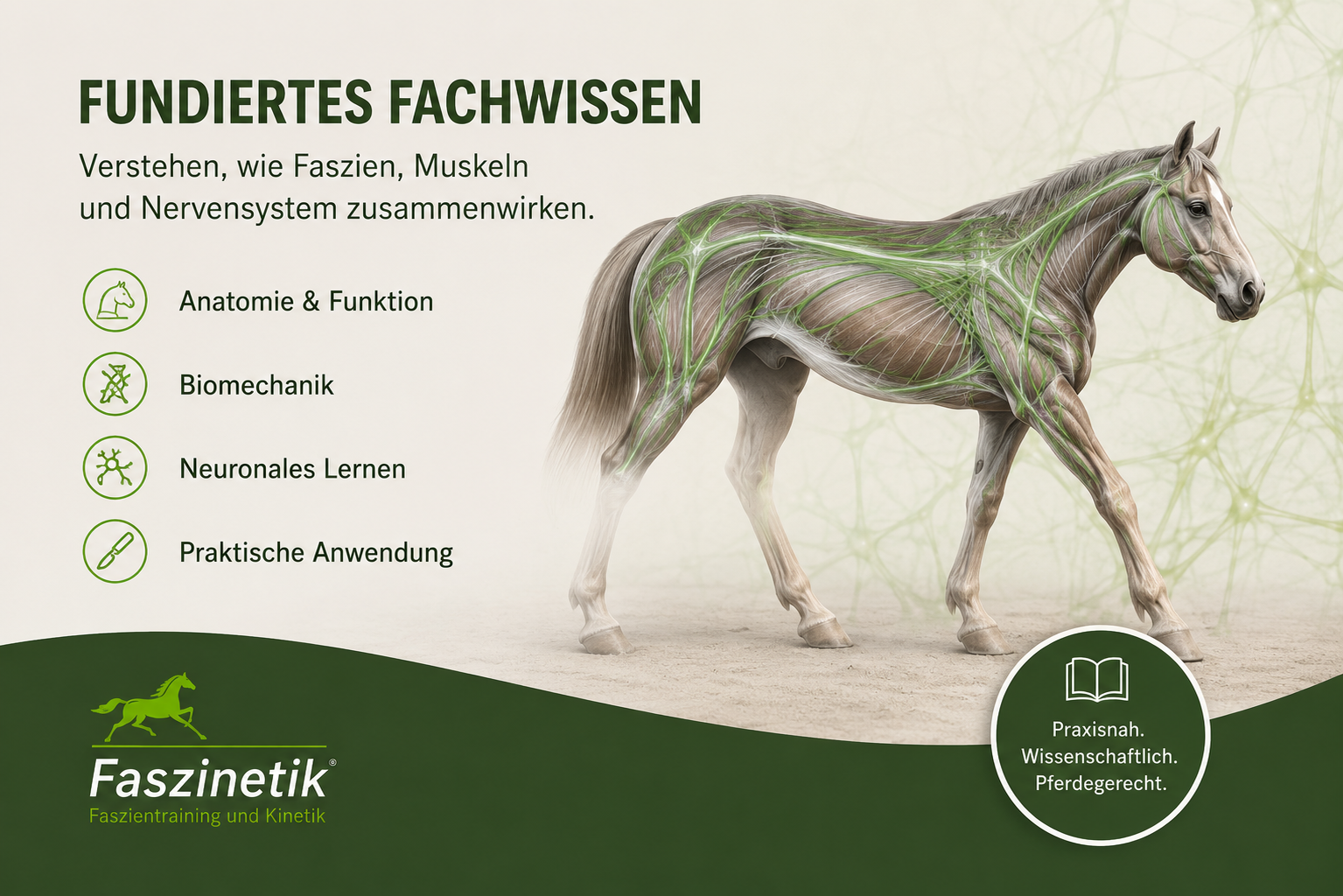 E-Book Leitfaden für Faszientraining nach Grünbeck – Band 1