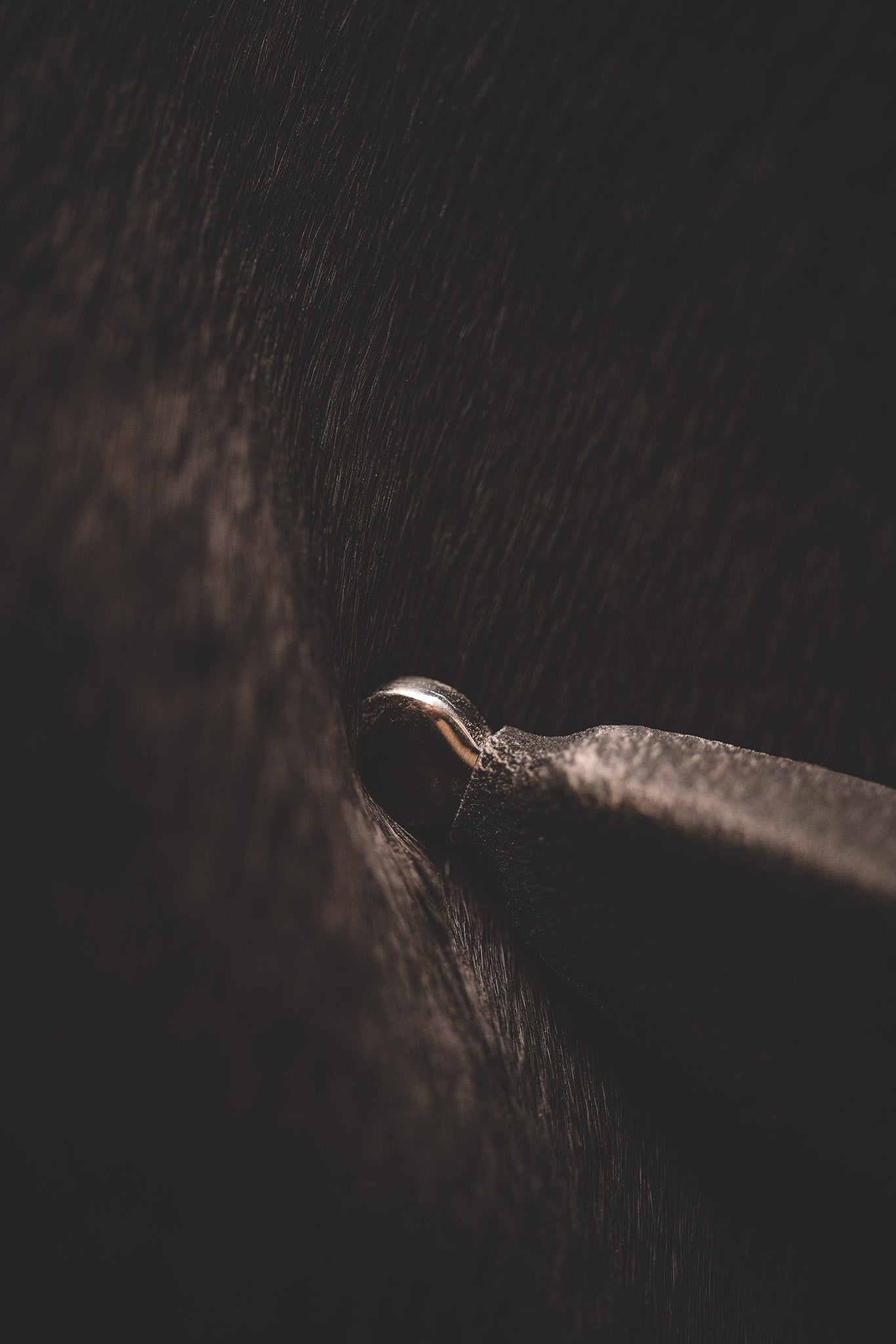 Pferdebehandlung mit Faszienrad mit integriertem Faszienlöffel zur Septentechnik