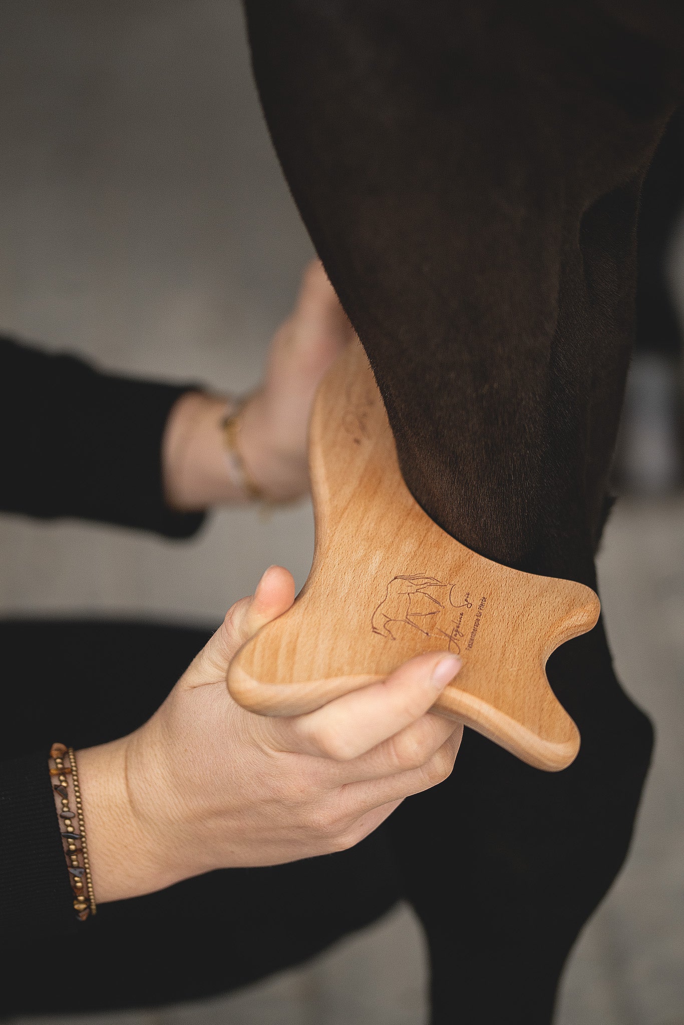 Pferdetherapie mit dem DasSpix-Faszientool zur Anregung des Lymphsystems