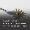 Faszinetik Einsteigerkurs zum Faszientraining für Pferdebesitzer onlinekurs