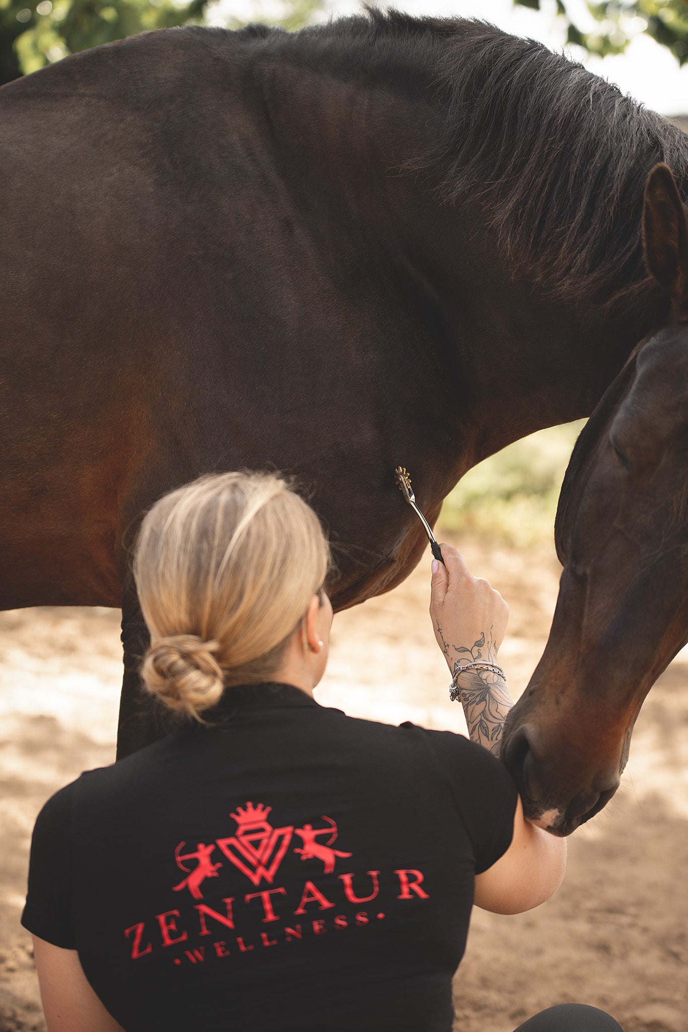Lösen von Faszienverklebungen am Unterhals beim Pferd – Faszinetik Methode mit dem Faszienrad von Horse Bodyforming