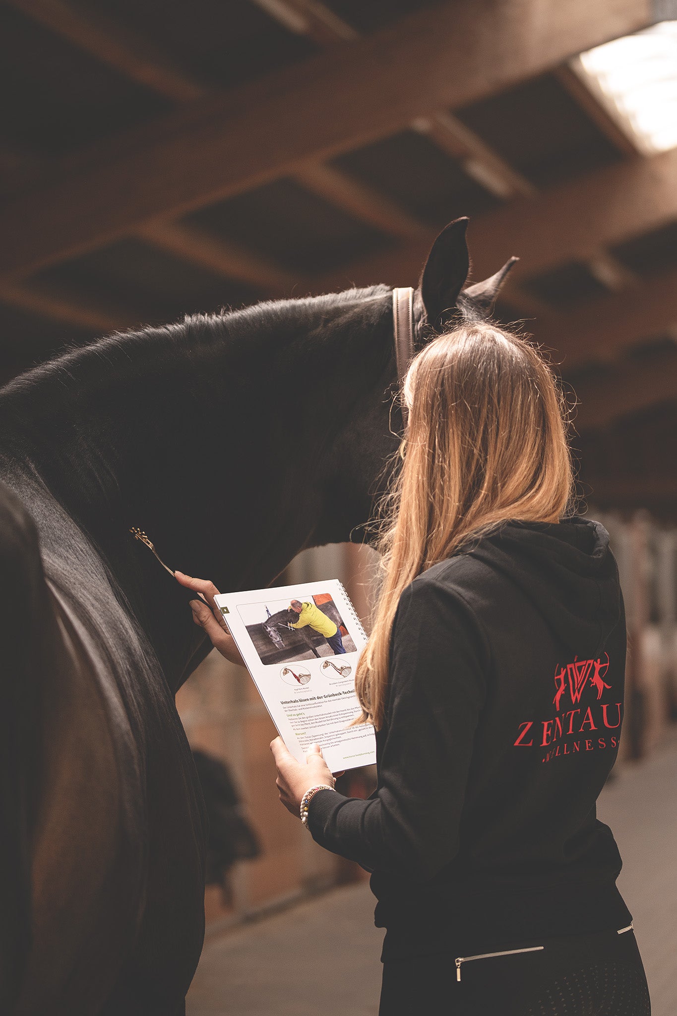 Faszienübungen am Hals des Pferdes mit Faszienrad nach dem Faszinetik Leitfaden