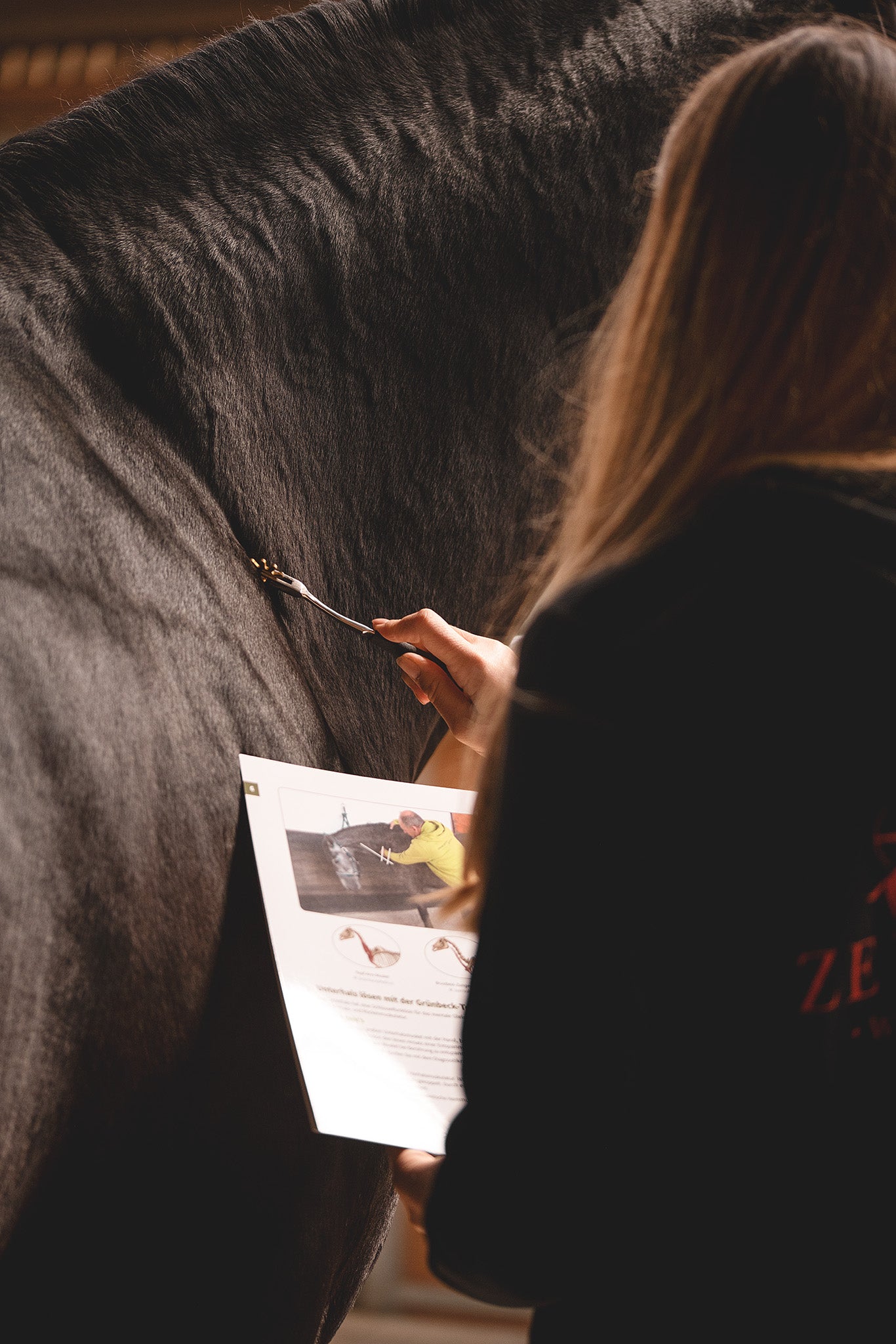 Horse Bodyforming Detailaufnahme – Faszienarbeit am Pferdehals Schritt-für-Schritt-Illustration für Faszientraining am Pferd