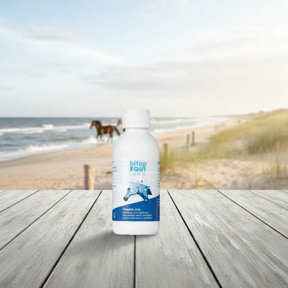 Flasche der bitopEQUI® Inhalationslösung für Pferde mit Atemwegsproblemen am Strand frei laufende Pferde