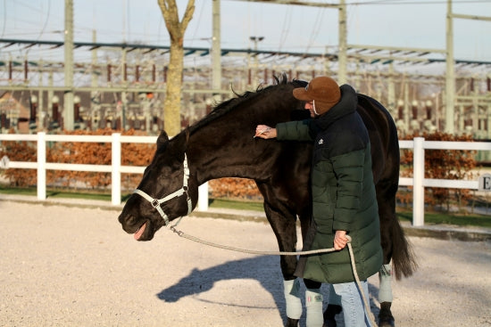 EQUI-SPIN Pro - Faszienrad für Therapeuten