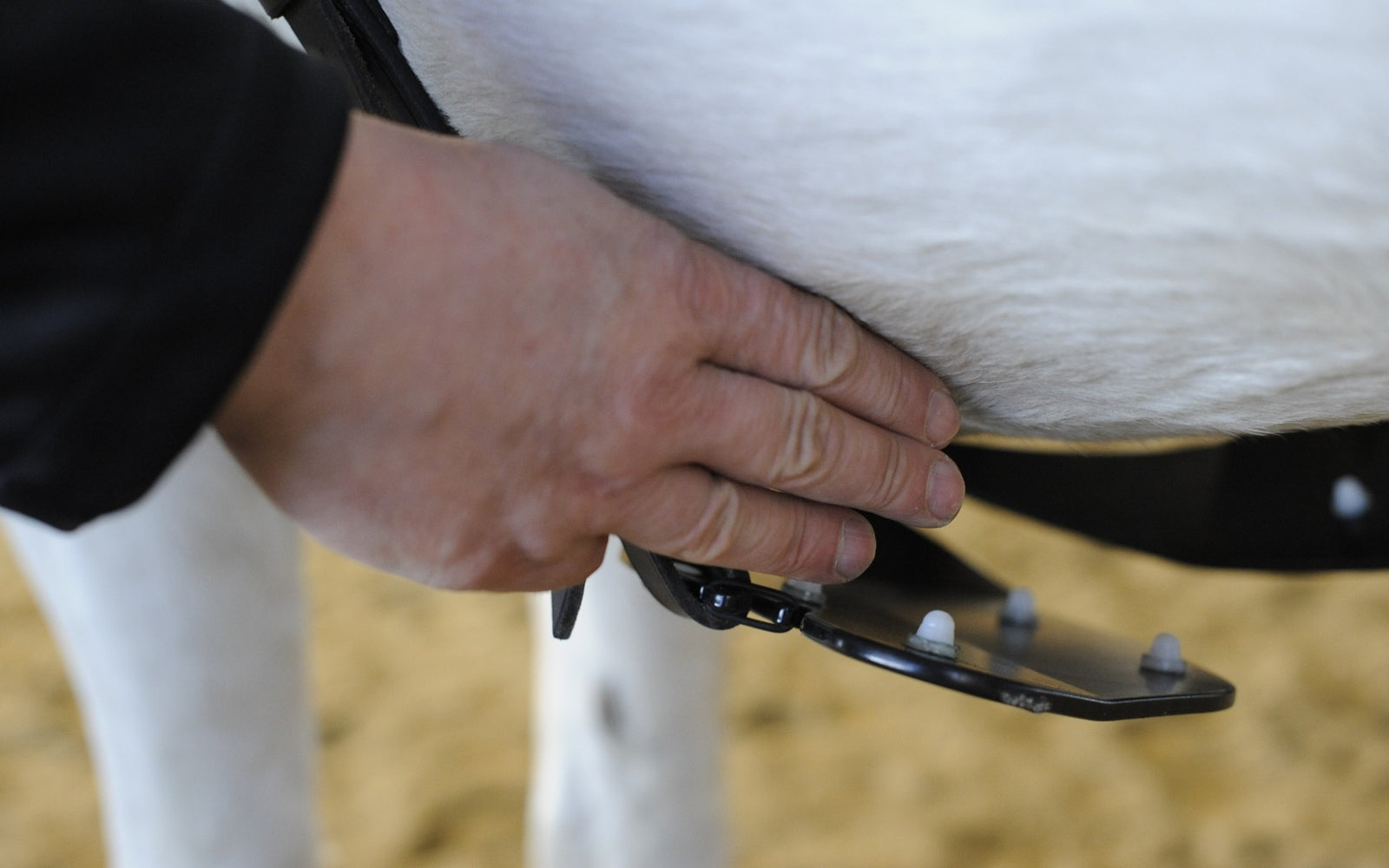 HORSE Bodyformer – Bewegung neu lernen statt korrigieren