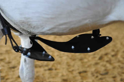 HORSE Bodyformer – Bewegung neu lernen statt korrigieren