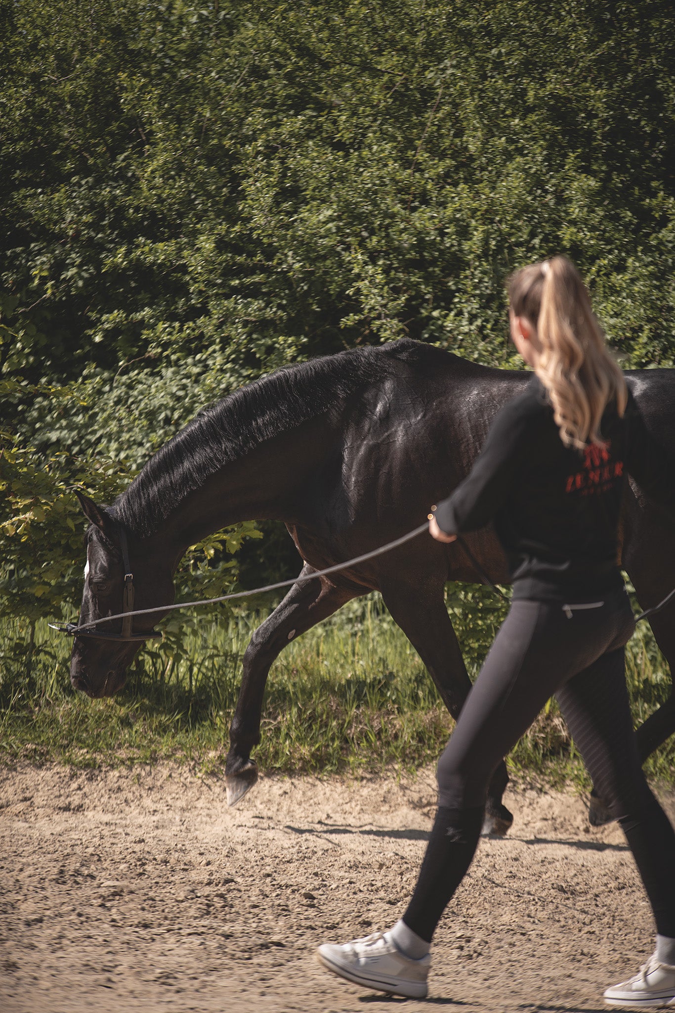 Horse Bodyforming Mobility Bridle Anwendung beim Trab – gezielte Faszienansprache in Vorwärts-Abwärts-Haltung