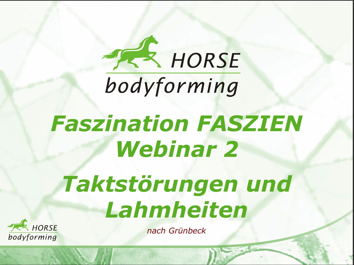 Horse Bodyforming Webinar Modul 2- Taktstörungen und Lahmheiten