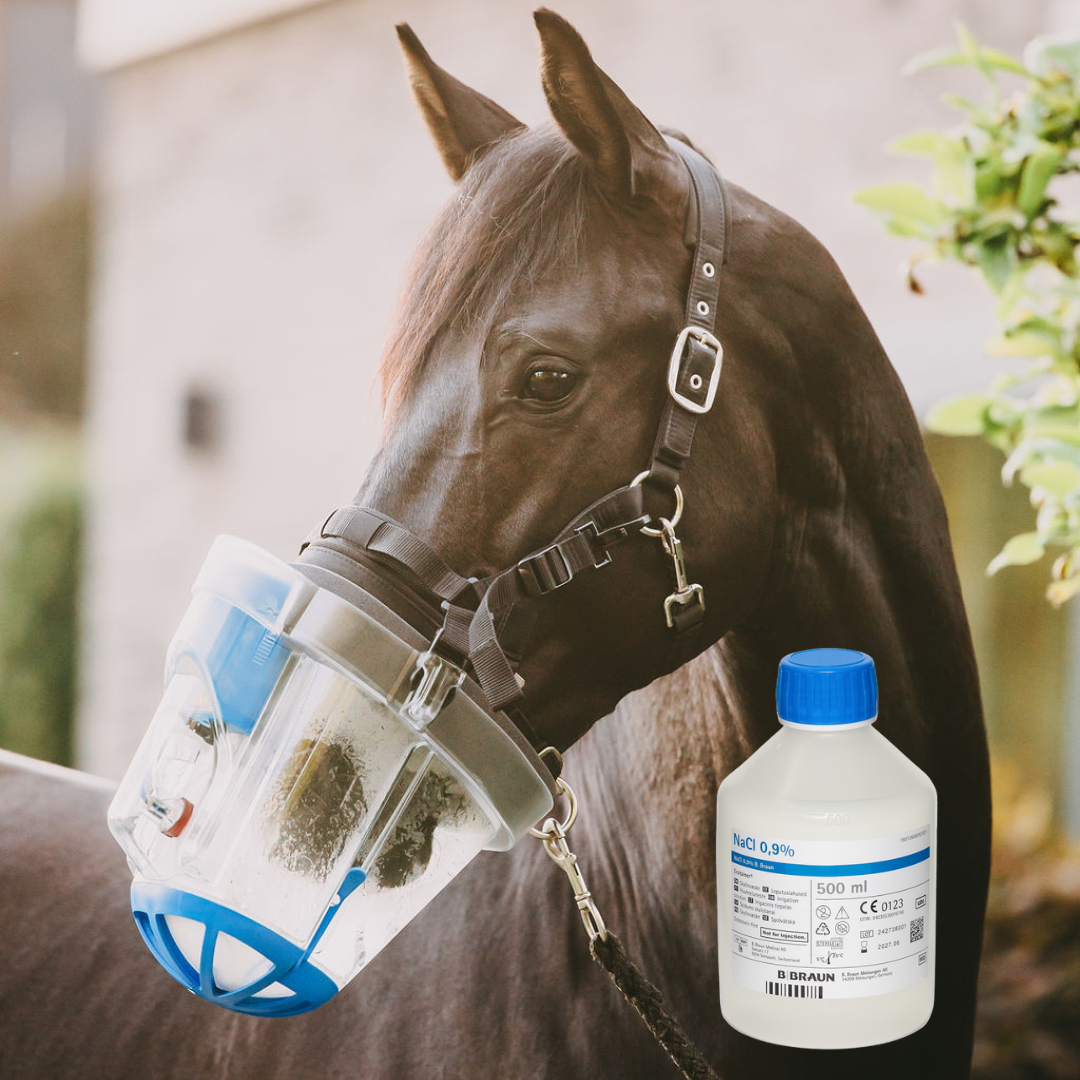 Isotonische Kochsalzlösung 0,9 % von B. Braun – 500 ml .
Schwarzes Pferd beim Inhalieren-Pflege und Befeuchtung der Atemwege mit Kochsalzlösung.
