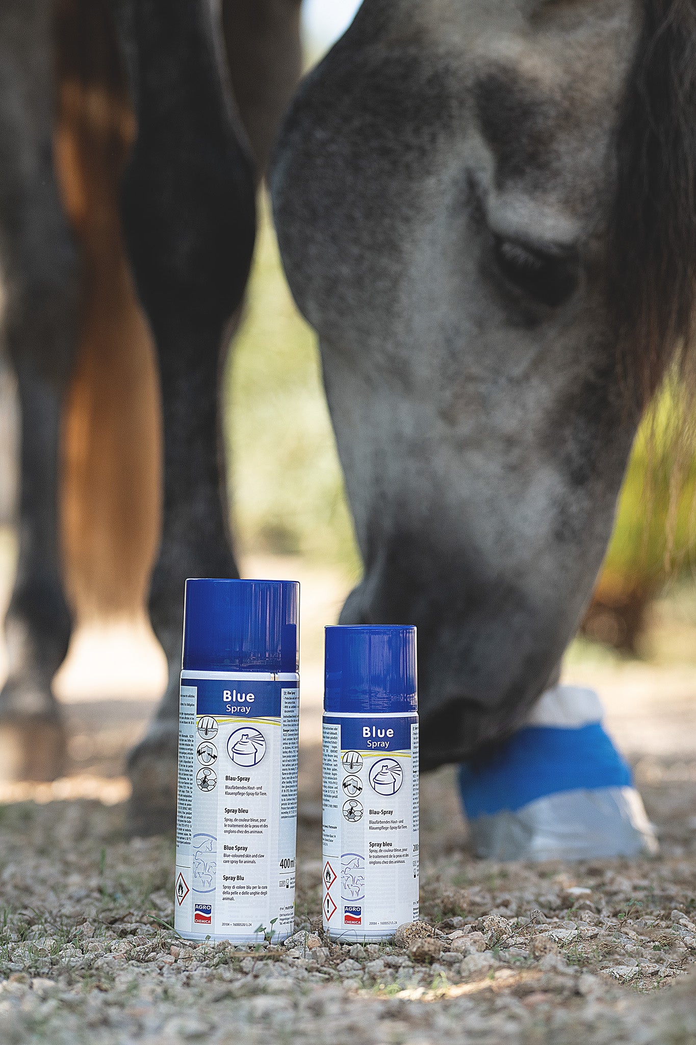 Zwei Größen des Kerbl Blue Spray Blausprays stehen nebeneinander, ein Pferd befindet sich im Hintergrund