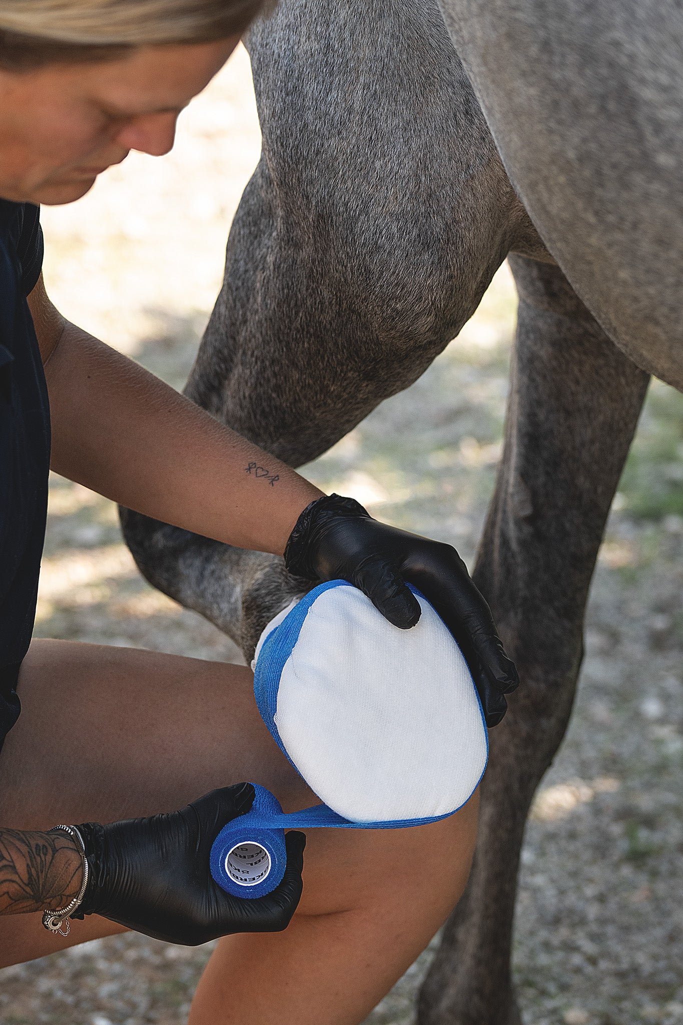 Polsterverband mit Verbandwatte am Huf eines empfindlichen Pferdes