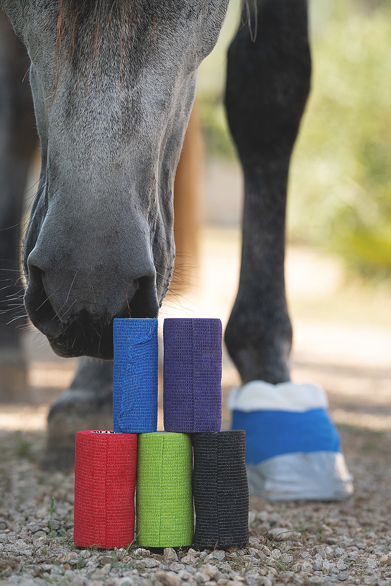 Kerbl Equilastic Maxi selbsthaftende Bandagen in mehreren Farben als Pyramide aufgestellt mit Pferd im Hintergrund