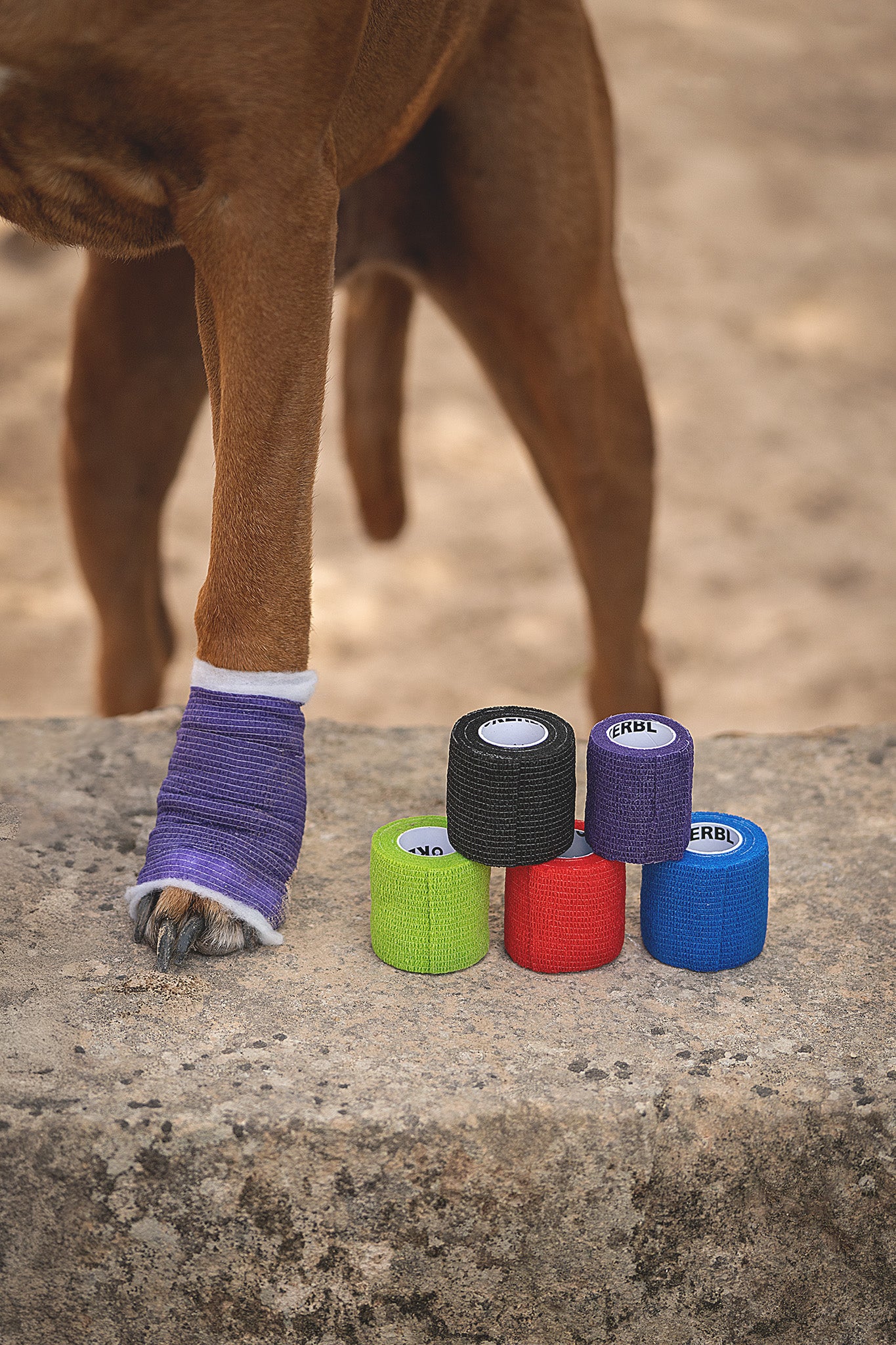 Selbsthaftende Kerbl Equilastic Mini Bandagen in 5 Farben zur Stabilisation und Wundversorgung bei Hund und Katze