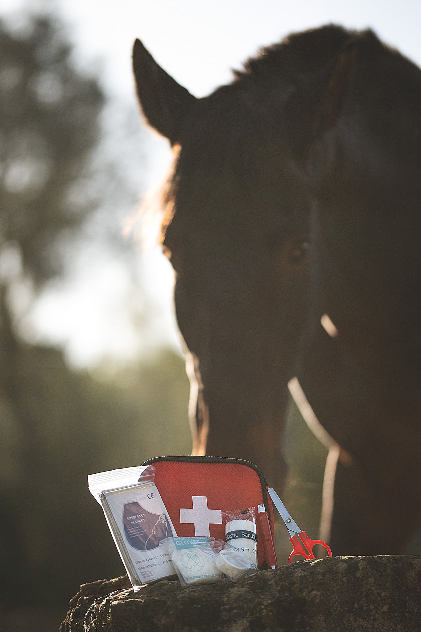 Erste Hilfe Set für Haustiere von Kerbl auf einem Stein mit Pferd im Hintergrund