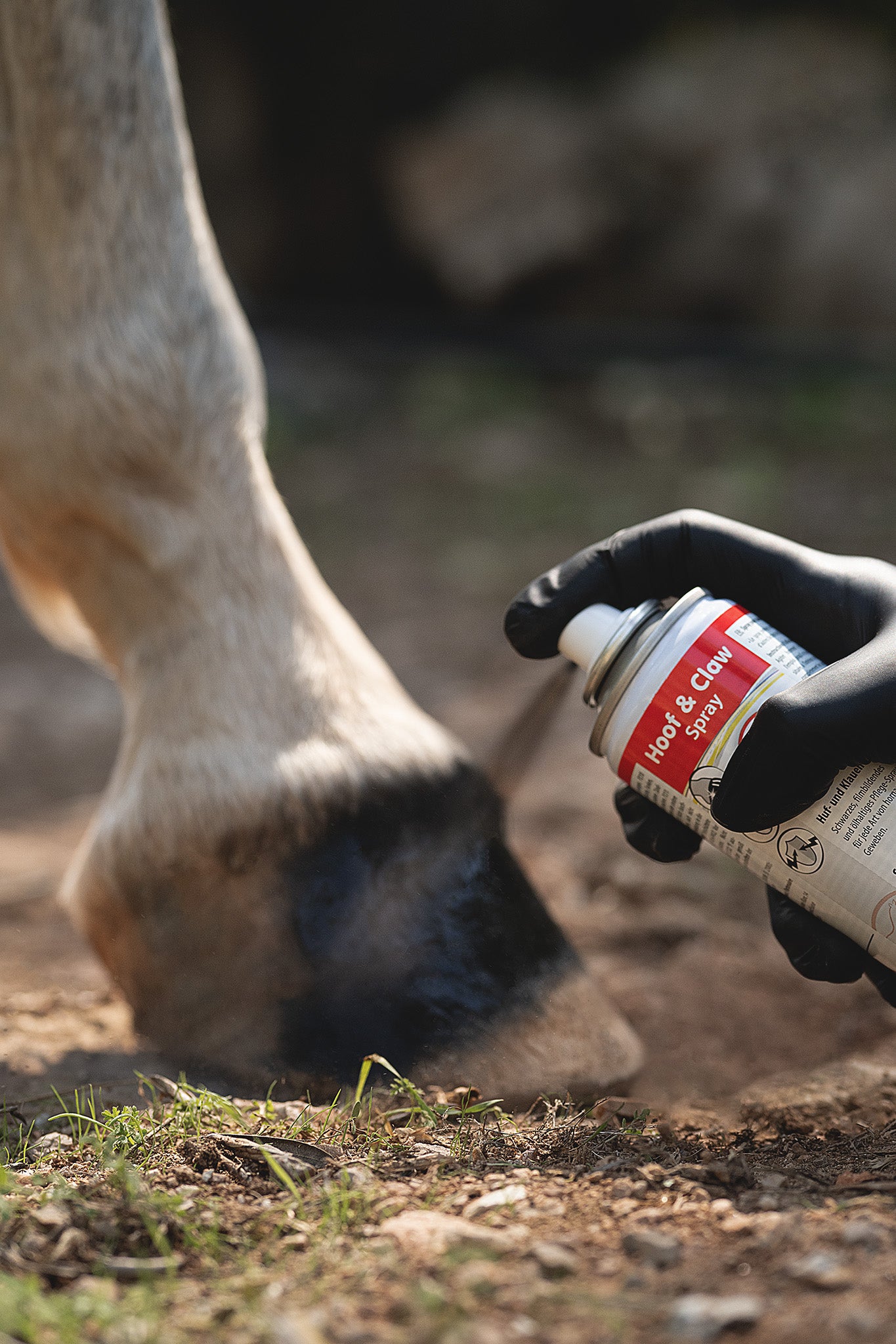 Kerbl Hoof & Claw Spray wird auf einen gereinigten Pferdehuf aufgesprüht, die schwarze Pflegeformel ist deutlich sichtbar