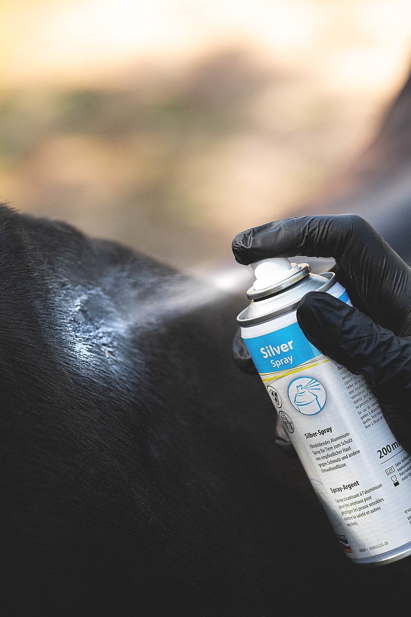 Kerbl Silver Spray Anwendung am Pferd zur Wundpflege
