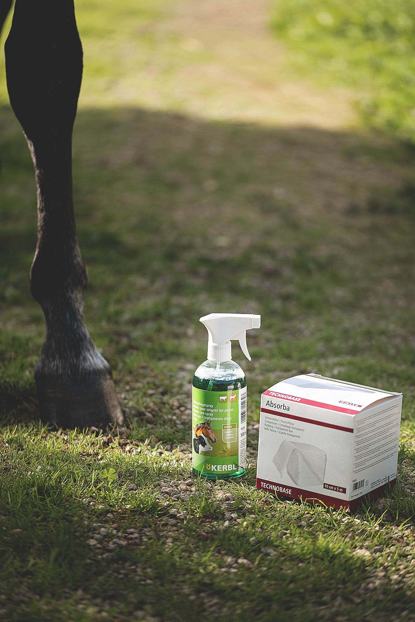 Kerbl Wundspray 500 ml steht neben Absorba Verbandsvlies auf dem Boden in der Natur - daneben ein Pferd.