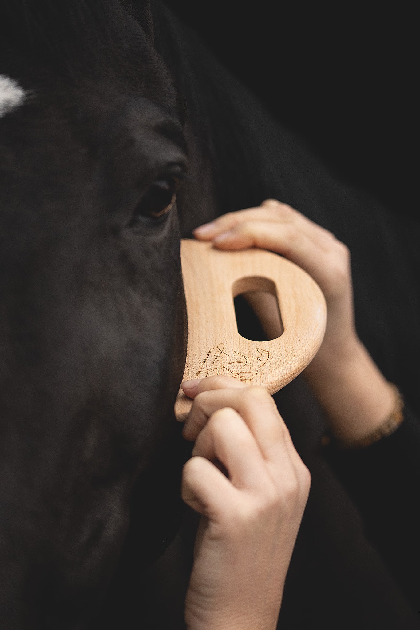 Effektive Massage eines Pferdes im Kopfbereich mit dem Faszientool DasSpixie