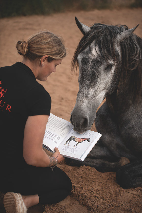 Buch Pferdemuskeln managen mit Infos zu PSSM2 und Muskelkrankheiten