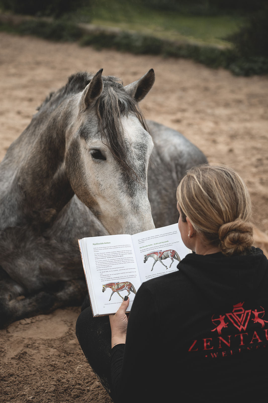 Lernen dürfen statt funktionieren müssen – Buch über Pferdetraining, Verhalten und Verständnis von Franz Grünbeck