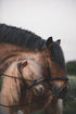 Produktvarianten des Mobility Bridle Horse Bodyforming Zaumzeugs vom Shetty bis zum Kaltblut