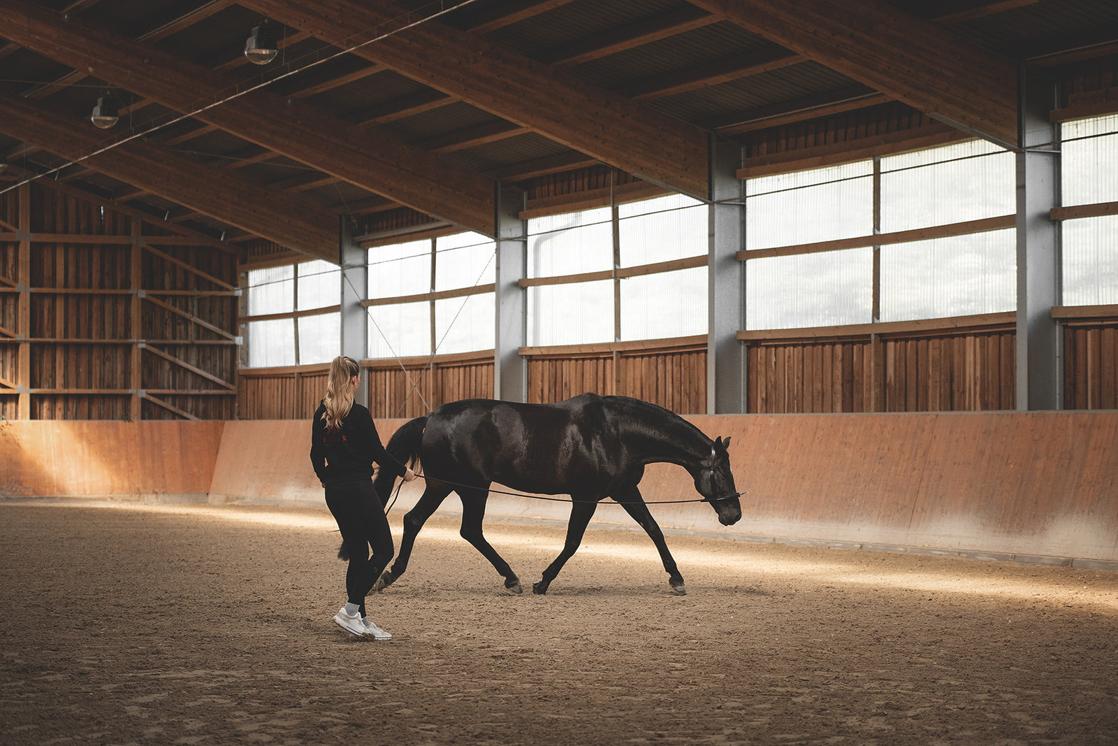 Horse Bodyforming Zäumung von Franz Grünbeck im Trab – Gleichgewicht und Rumpfmuskulatur verbessern