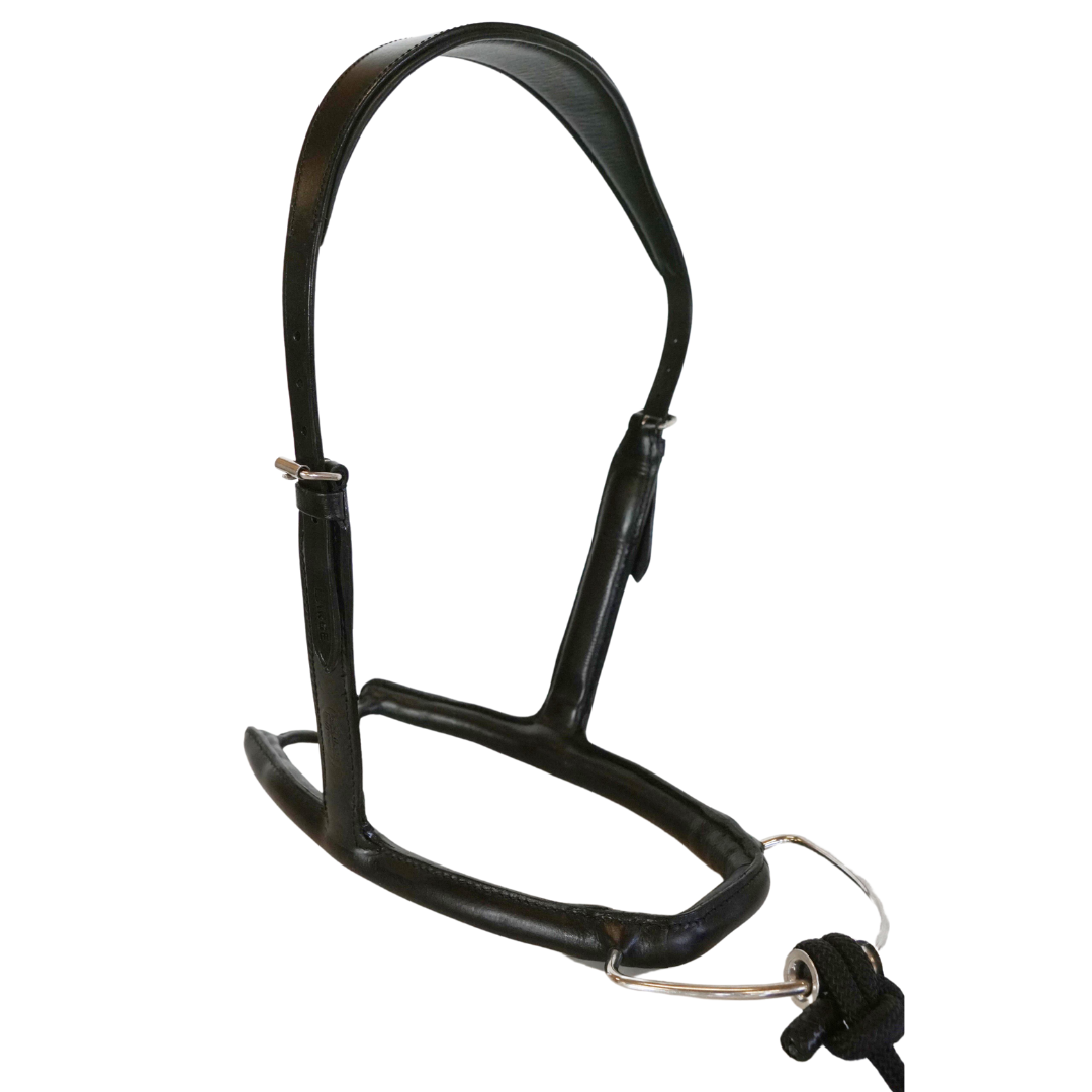 Mobility Bridle mit ergonomischen Genickstück - Horse Bodyforming -das Zaumzeug von Franz Grünbeck