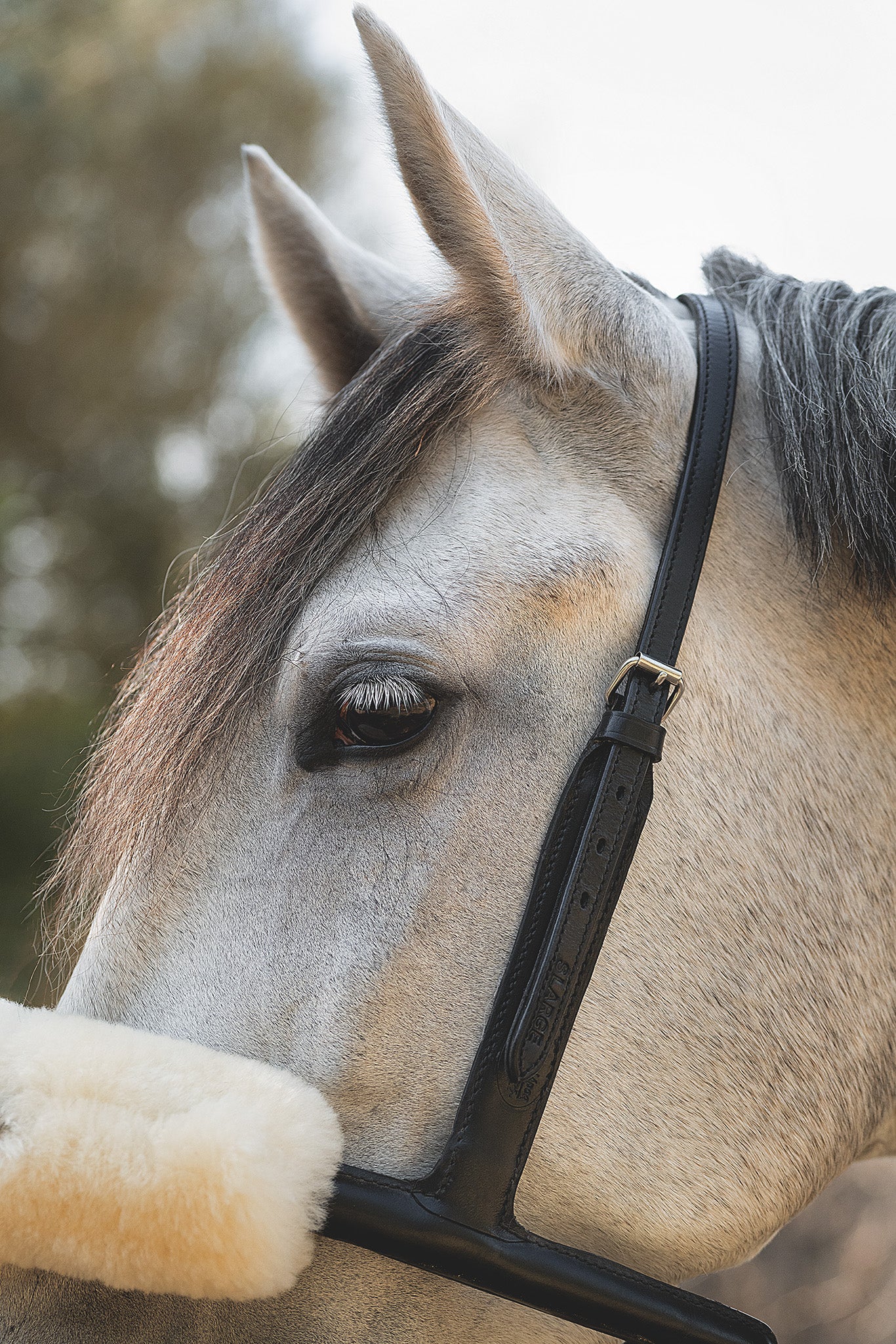 Mobility Bridle gerader Genickriehmen detail aufnahme Pferd in der Natur in Größe SL