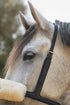 Mobility Bridle gerader Genickriehmen detail aufnahme Pferd in der Natur in Größe SL