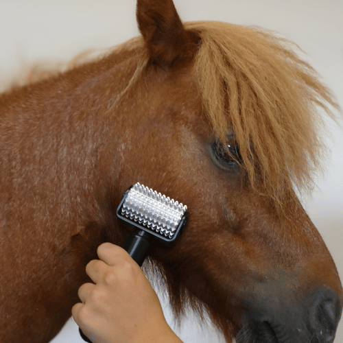 Faszientherapie mit der Mini NeedleyRoll gelingt auch an schwer zugänglichen & empfindlichen Stellen - hier im Gesicht eines Ponys
