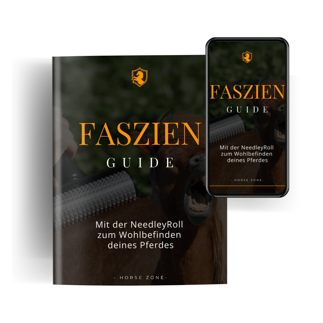 Beiliegender Faszienguide als Print und Digital fürs Handy - 