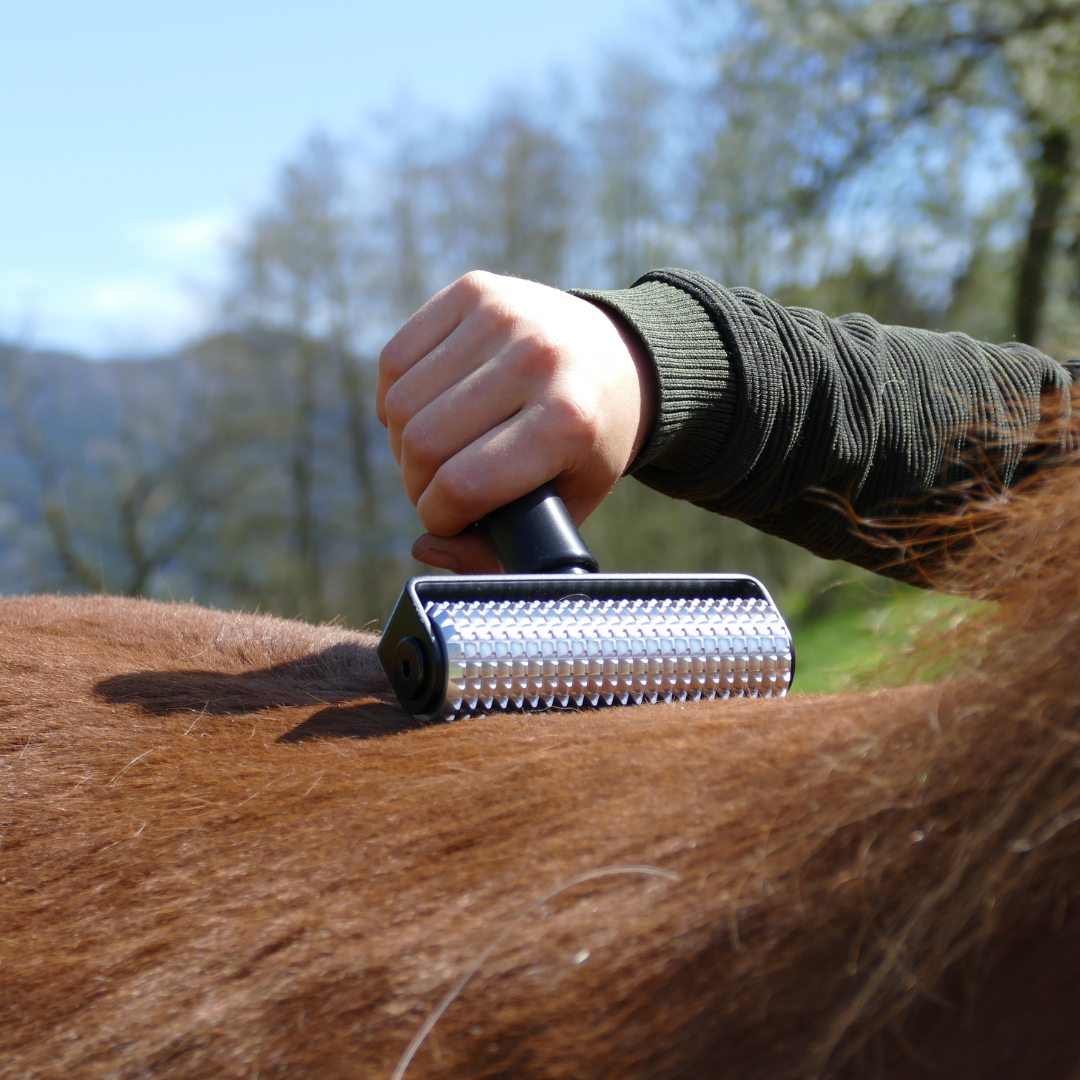 NeedleyRoll Faszienrolle für Pferde während gezielter Lockerung der Rückenmuskulatur