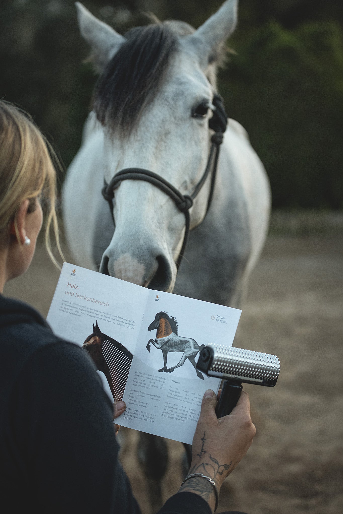 NeedleyRoll Faszienrolle – Physiotherapie-Produkt für die Muskelentspannung bei Pferden
Pferd in Anwendung