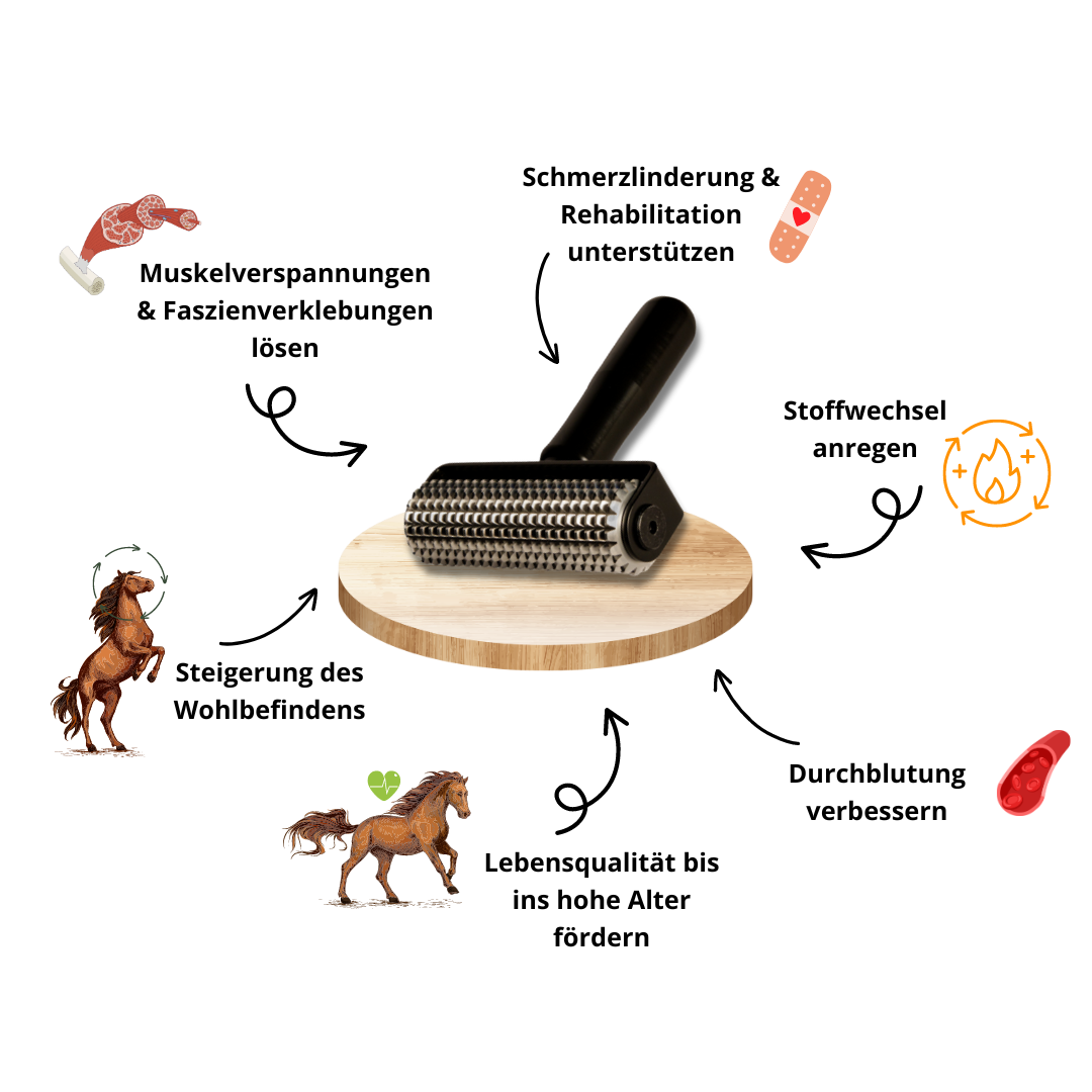NeedleyRoll Faszienrolle -Mini– Zielgenaue Pflege für kleine Muskelgruppen