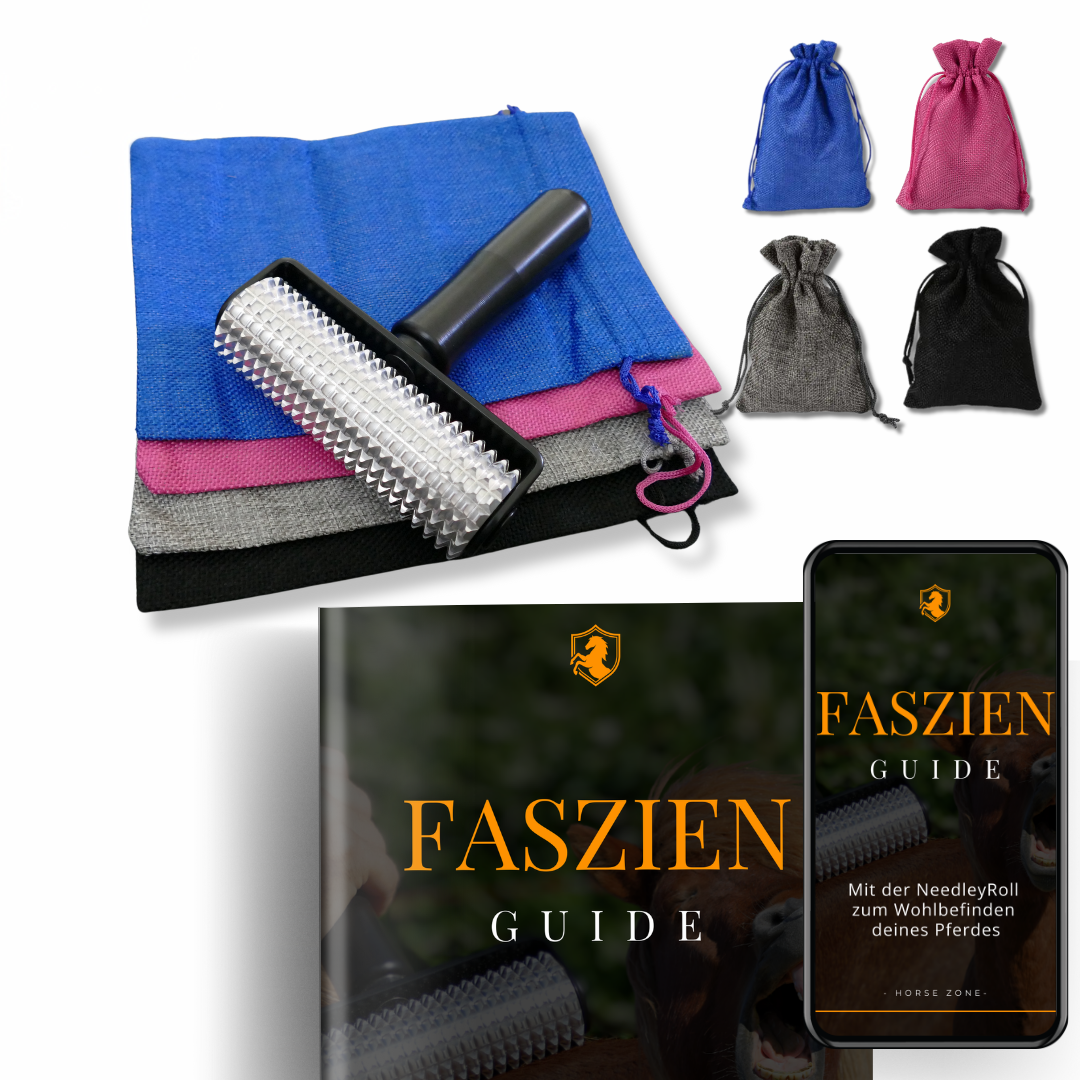NeedleyRoll Maxi Lieferumfang: Faszienrolle, Transportbeutel in Blau, Schwarz, Pink oder Grau sowie Faszienguide print und digital