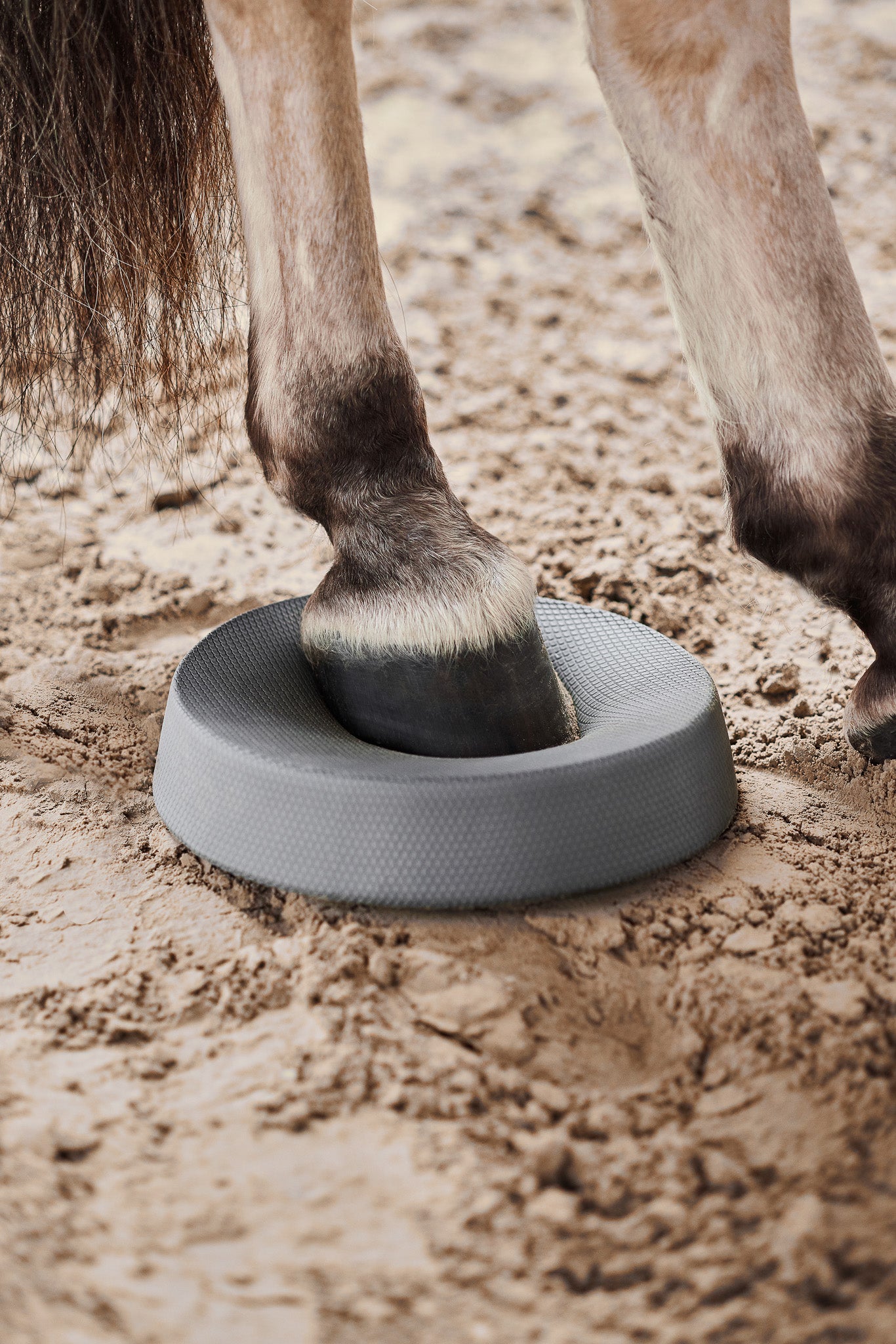 NØRSHOLM EQUESTRIAN- Balance Pads für  Pferde 2er Set